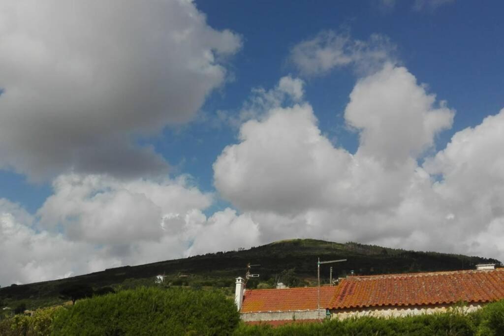 Villa - Torres Vedras, Lisbon Country Side Almeirinhos de Baixo Экстерьер фото